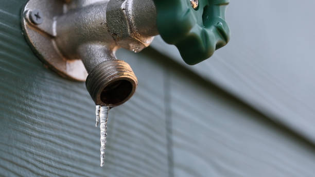 Best Emergency Plumber  in Papillion, NE